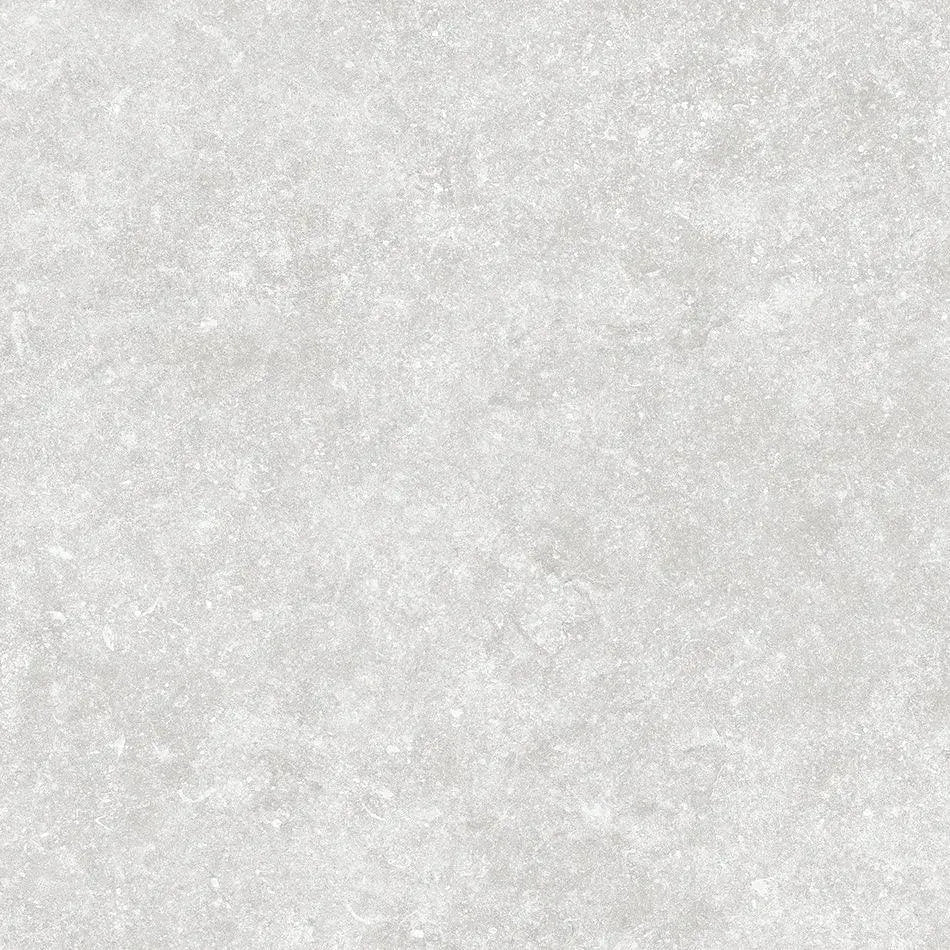bluestone-coin-porcelain-paving-tiles-600x600